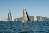 spirit of jacana irl1335 general whyw22 sun 800_1966yi